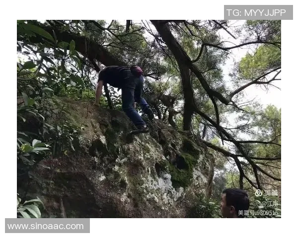 重庆攀岩队灵活性对比分析及其在比赛中的影响探讨