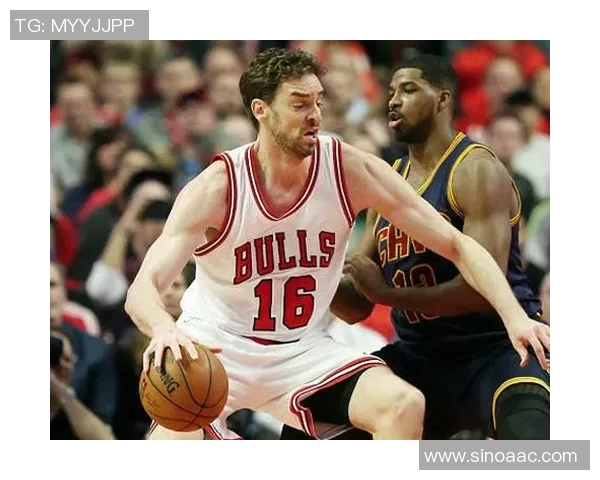 公牛精神与力量的象征探讨：从体育到文化的多维解读与影响